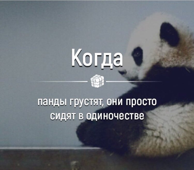 Картинка с надписью я панда, сад открытки