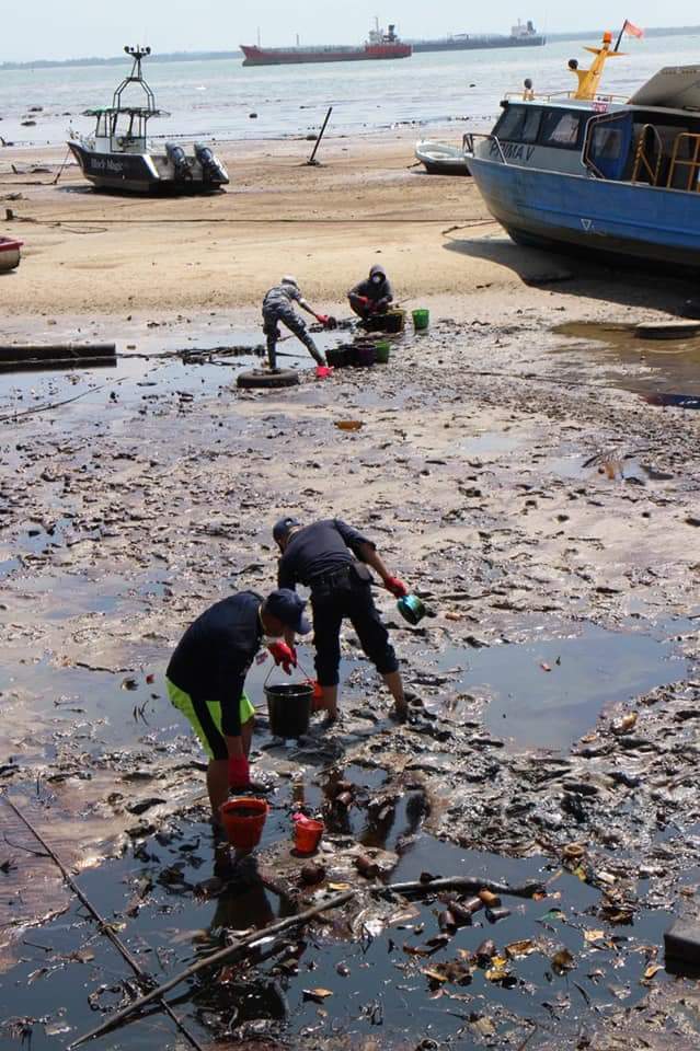Ikan pesut dan lumba-lumba mati akibat tumpahan minyak di Teluk Balikpapan. Pantai perairan laut tercemar. Hingga saat ini dampak tumpahan minyak belum dapat diatasi.