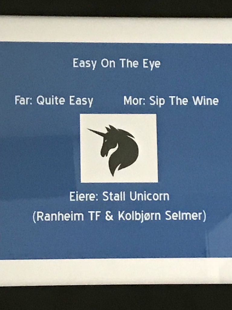 Endelig blitt hesteeier! Har nå, sammen med resten av spillergruppa i Ranheim, 50% i hesten Easy On The Eye. Spennende treåring som snart kommer ut i banen. Fantastisk gest av Kolbjørn Selmer, dette blir gøy!