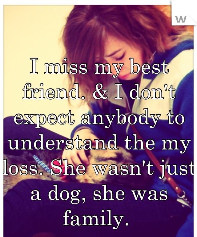 theralphsite's tweet photo. "I miss my best friend &amp; I don't expect anybody to understand my loss.." Many people feel this way #petloss #pets https://t.co/9UALeABtMI