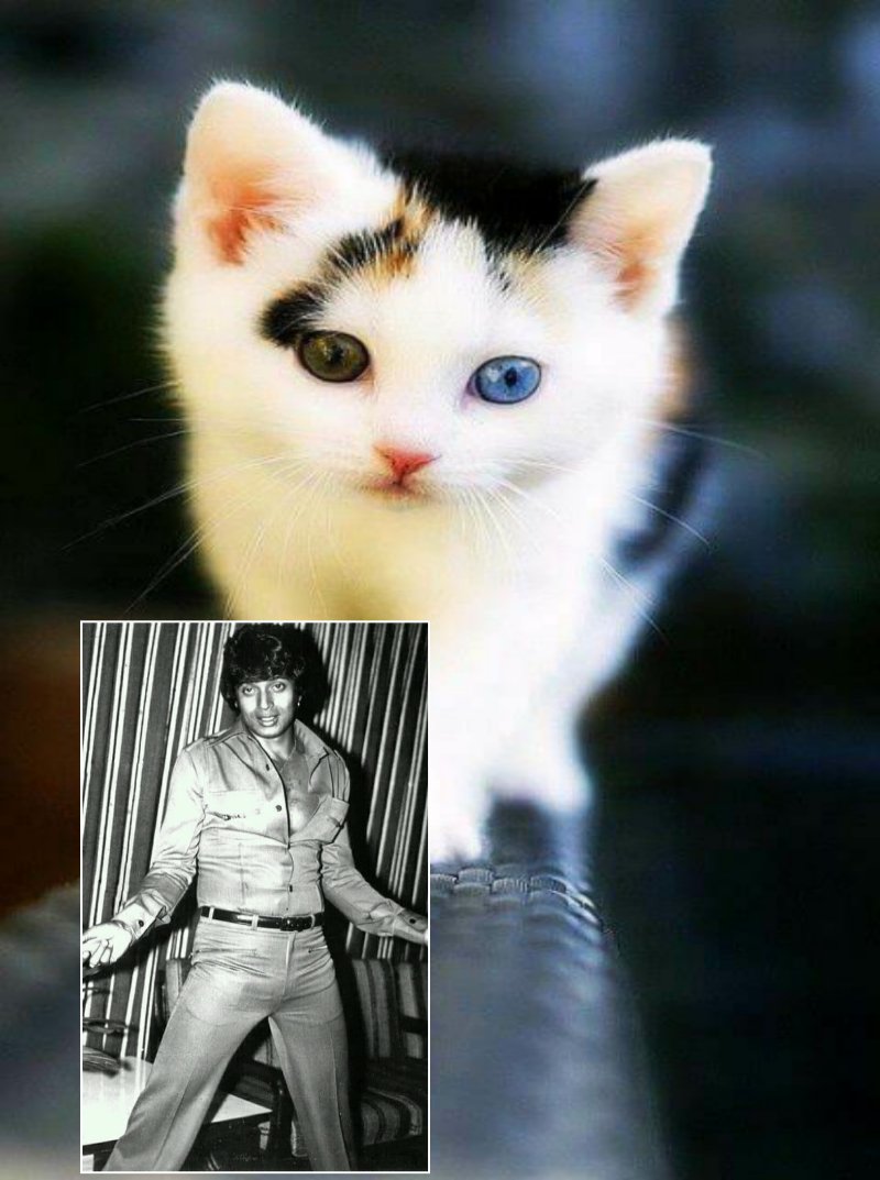 xraytechnic74's tweet image. I LOVE U DADA