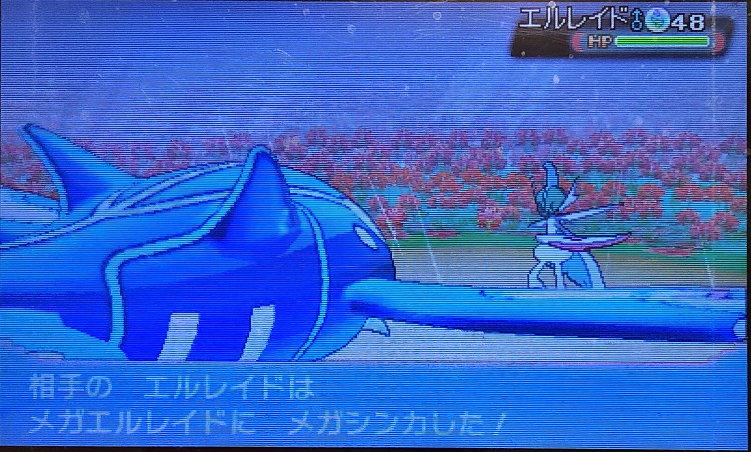 4 ついにメガエルレイドを倒した ピクミン マリオ ドラクエ Ff ポケモン日記