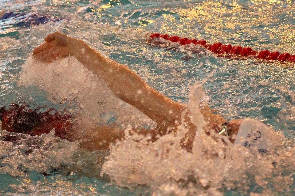 CardiffMetBlogs's tweet photo. There are loads of #CardiffMet students, staff &amp; alumni competing in @GC2018, and not just for the home nations either - @yon_josh swims for St Helena tomorrow! Here's how he got there: https://t.co/cCQnRj1waG 🏊‍♂️🇸🇭 https://t.co/Pucq63wz05