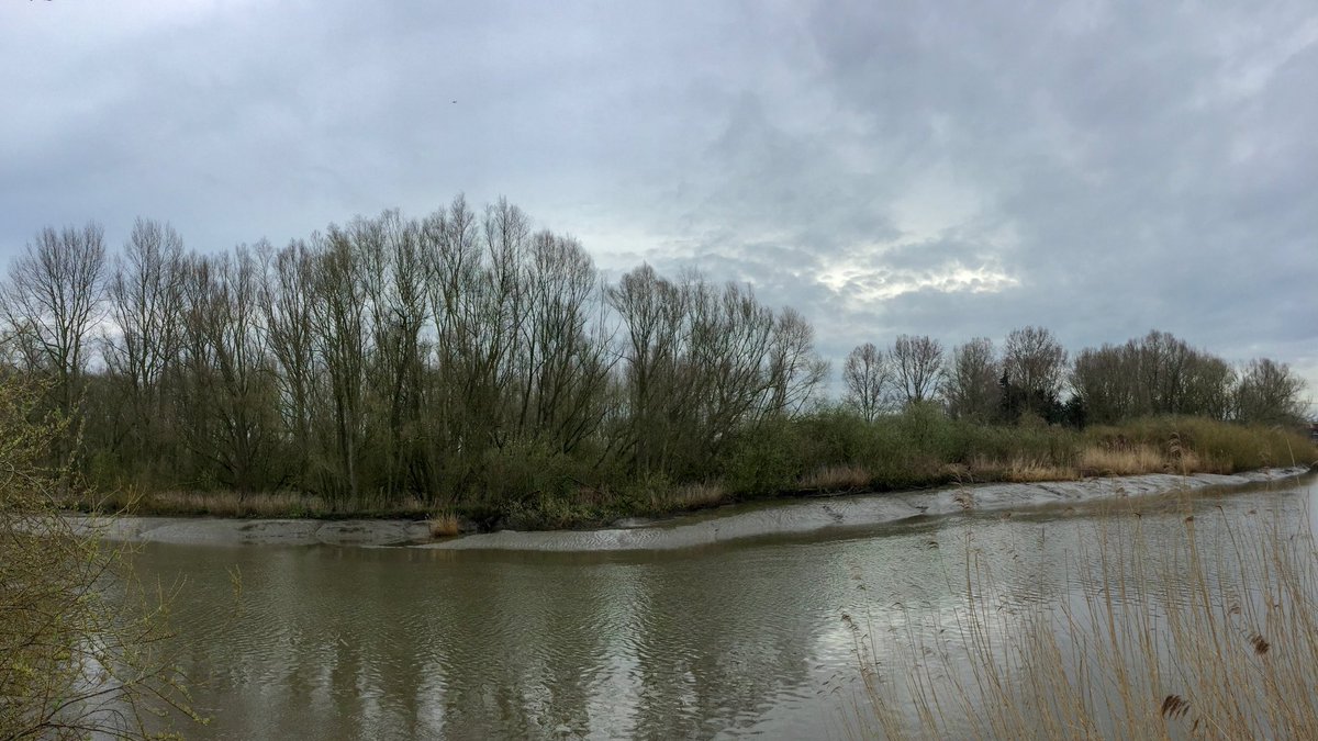 MWezemael's tweet photo. @sabinehagedoren @frankdeboosere @MeteovistaBe #Hamme #DeDurme #vrtweer #weerfoto https://t.co/yR6cZxdcIp