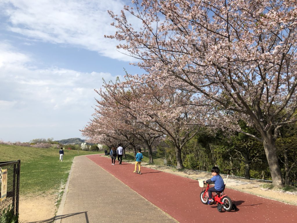 垂水健康公園 垂水健康公園