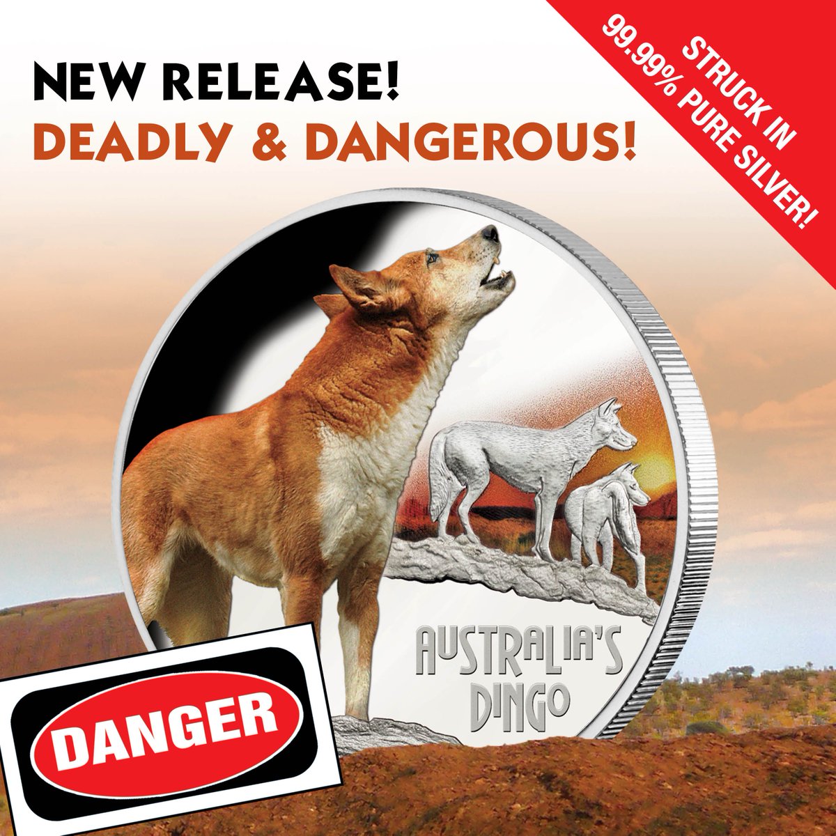 downies's tweet photo. Deadly &amp; Dangerous in 99.99% pure silver! Don’t miss this eye-catching and exclusive tribute to the dingo, capped off with a flawless Perth Mint strike: https://t.co/qX6gAV4aOi https://t.co/CLjUs6EqN8