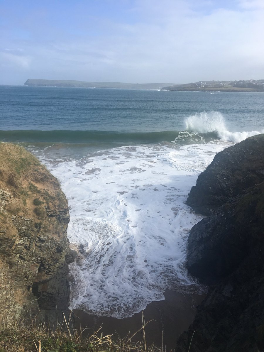 What a morning for a walk on the beach #Cornwall #Padstow #dogfriendly #whippet
