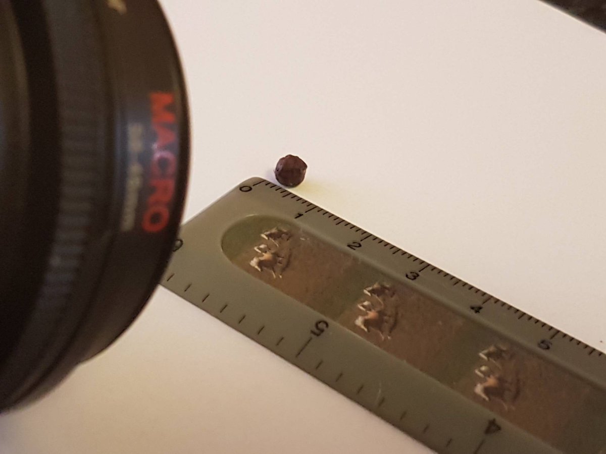 Duplicate3D's tweet image. 3D scanning a black pepper with a macro lens to test out the limits of photogrammetry

#3d #3dprint #3dprinting #3dscan #3dscanning #geometry #studio #render #art #artist #photo #photogrammetry #electronics #technology #sculpture #sculpting #macro #lens #beautiful