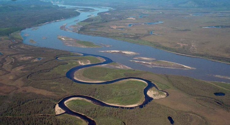 Yukon1000race's tweet photo. ‘Believe in yourself and your abilities, and not the disbelievers that may surround you’ https://t.co/b97rKKjqRh