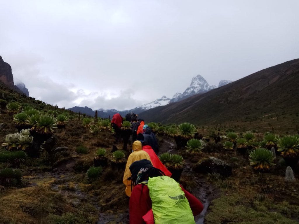 lynnmalonza's tweet photo. Day 2, Mt.Kenya chronicles! The real struggle had officially began!! Heading to Shipton 4200mts above sea level!
#AdventureApril #hikingadventures #xtrym #travel https://t.co/kHC6L3el5g