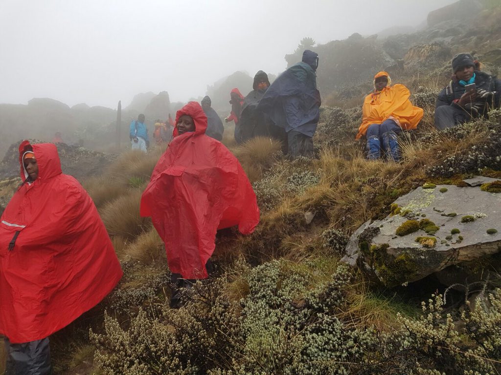 lynnmalonza's tweet photo. Day 2, Mt.Kenya chronicles! The real struggle had officially began!! Heading to Shipton 4200mts above sea level!
#AdventureApril #hikingadventures #xtrym #travel https://t.co/kHC6L3el5g