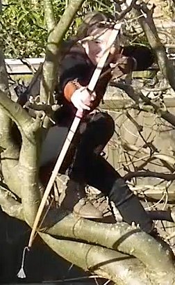 NaturalBowWoman's tweet image. Shooting from a tree with my English Longbow was a fun way to bring variety to my archery target practice. 🎯🌳
#archery #archeryfun #archerypractice #bowandarrow #englishlongbow #femalearcher #getoutdoors  #outdoorfun #targetpractice #womanarcher