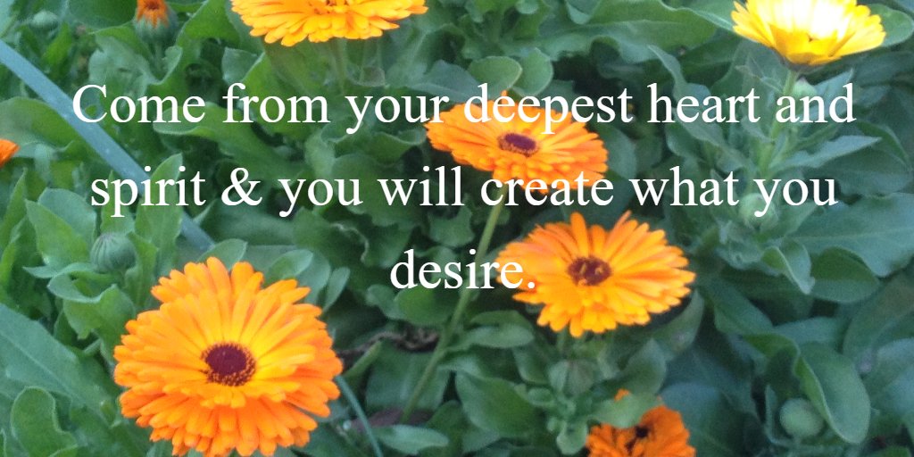 stradartz's tweet image. 