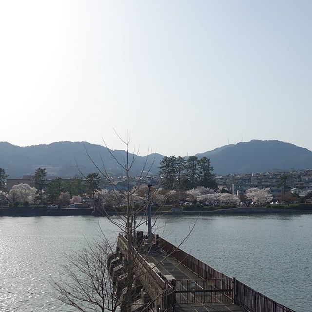 洗堰レトロカフェ tweet media