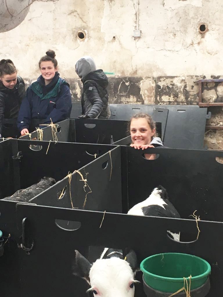 sschoolsfa's tweet image. 🏴󠁧󠁢󠁳󠁣󠁴󠁿 GIRLS 15s | Quite a number of our 15s squad had a day out at Kate's farm on Sunday. Looks like they had fun #PalsForever facebook.com/scottishschool…