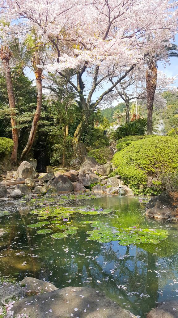 Lost in Japan tweet media