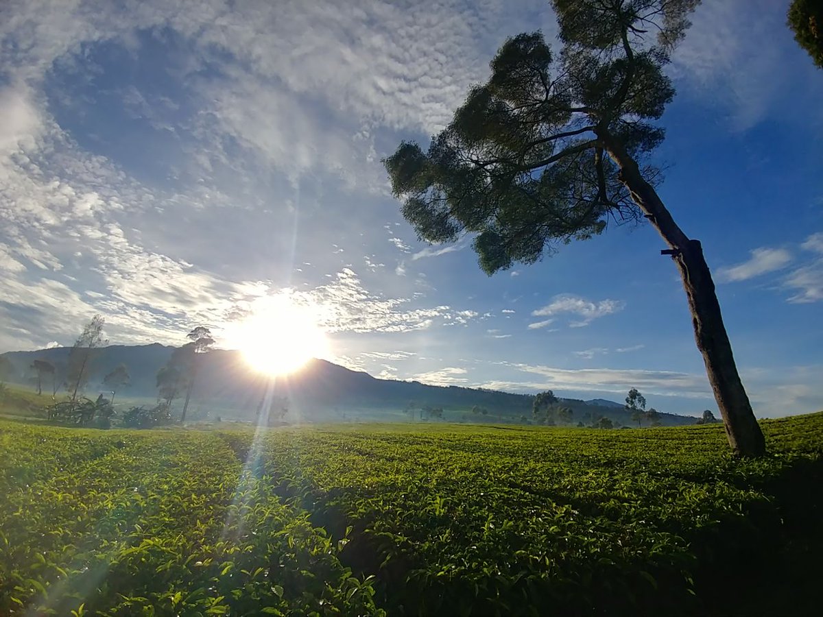agpeduli's tweet photo. #HariBumi dicanangkan pd tgl 22 April n diperingati secara internasional. Peringatan ini utk meningkatkan kesadaranan &amp; apresiasi thd planet yg menjadi tmp tinggal manusia, yaitu Bumi | Pict by: @CitarumLestari 
#AGPeduliBumi #AGPEarthDay #AGPeduli #EarthDay #EndPlasticPollution https://t.co/eOutfg31az