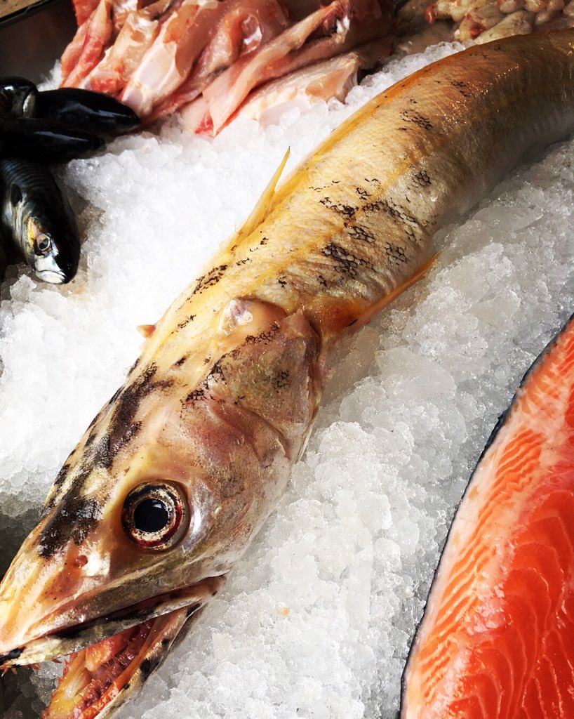 Just a small selection on our fishmonger’s counter today, but what we lack in quantity we certainly make up for in quality! Check out this stunning #Cod from Newlyn market this morning. Also, a first for everyone here; golden #hake! Most unusual. #bristol #seafood