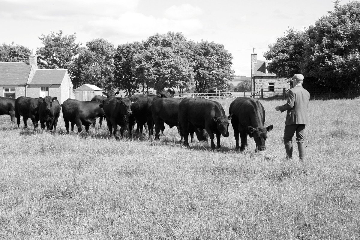 Launching our <a href="/AubreyAllen/">Aubrey Allen</a> steak night on Thursday 5th April at The Talbot Belbroughton. Rib-Eye, Fillet, Sirloin, Boston Rib, T Bone, you name it, we'll be throwing it on the grill. #youwontgetabettersteakthanthis
