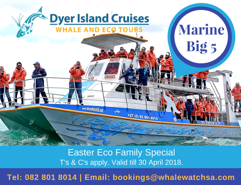 Experience the #MarineBig5 this April with our eggstra special rate for locals

Email bookings@whalewatchsa.com or call 082 801 8014

T's & C's apply

#discoverOverberg #shotleft