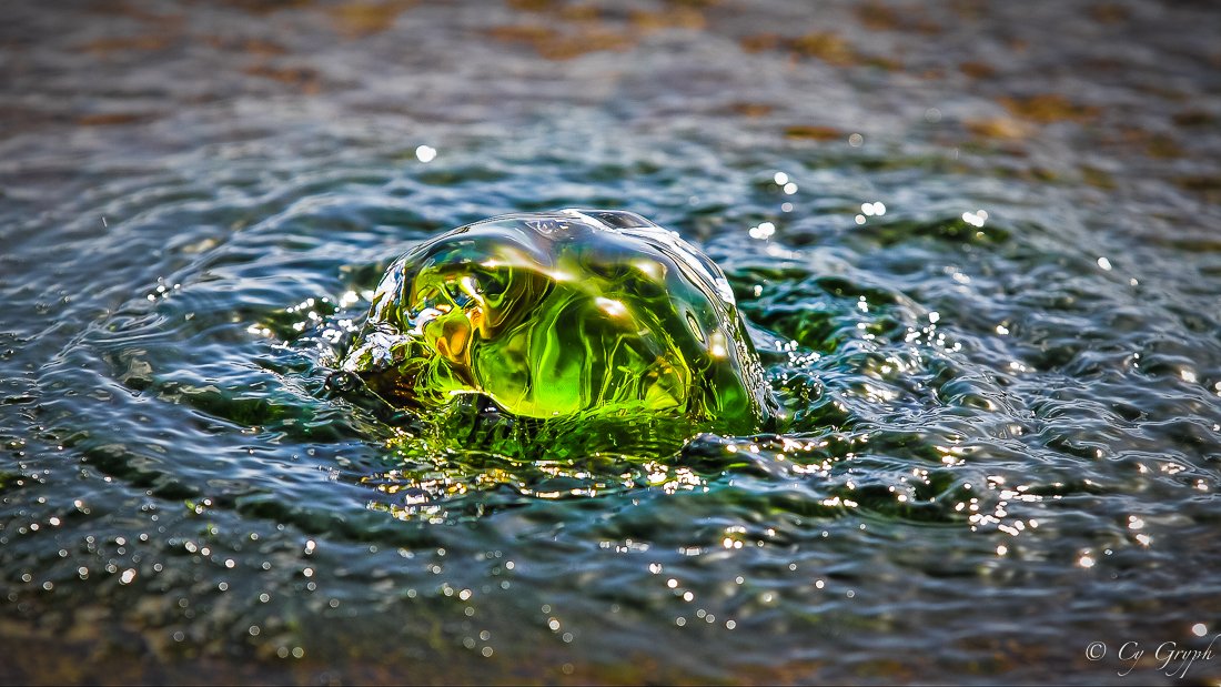 Cy Gryph tweet media