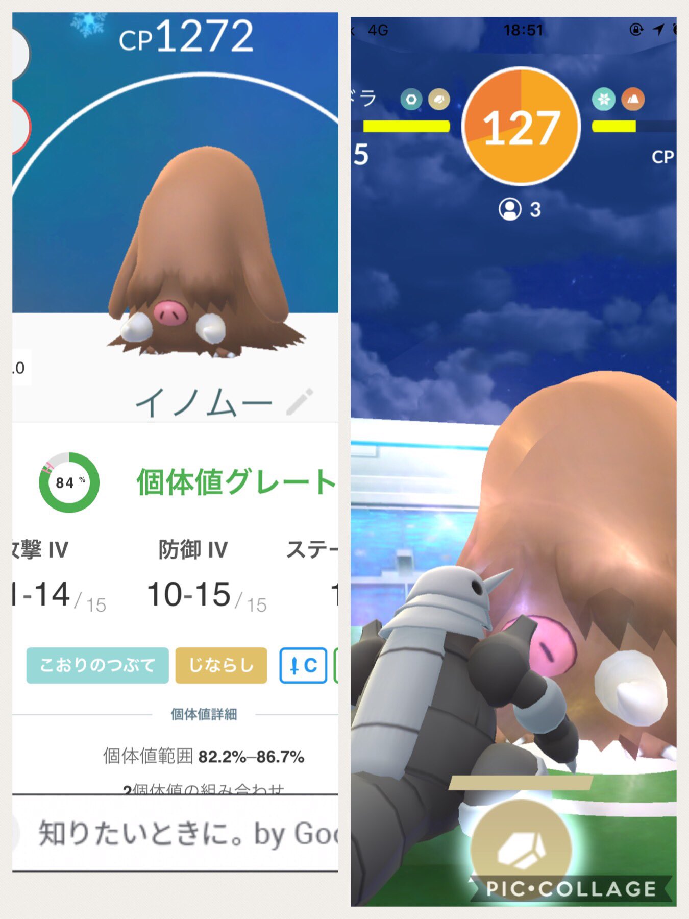 メタモン難民 Twitter Search Twitter