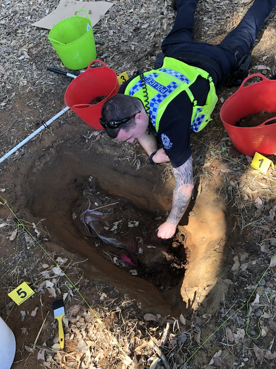 murdochforensic's tweet image. Constable Jamie from @MundijongPol goes beyond the call of duty to get up close and personal with some decomposing remains with our Master of Forensic Science students