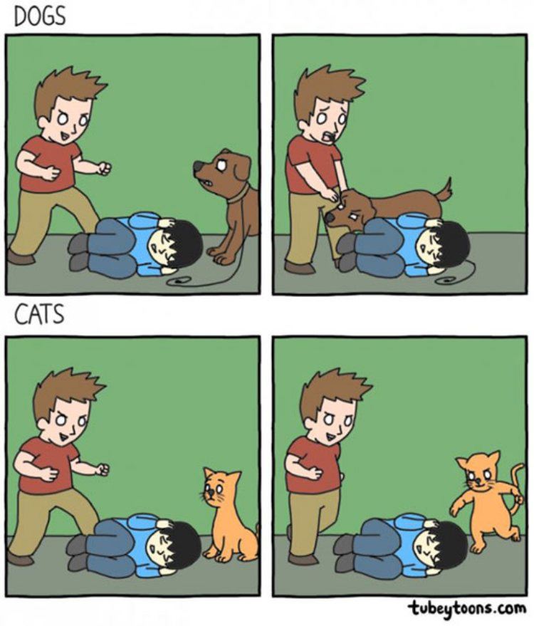 Tvtropes On Twitter Heroic Canines Villainous Felines Https T Co Pfalygmzq Credit Tubey Toons Tvtropes On Twitter Heroic Canines Villainous Felines Https T Co Pfalygmzq Credit Tubey Toons