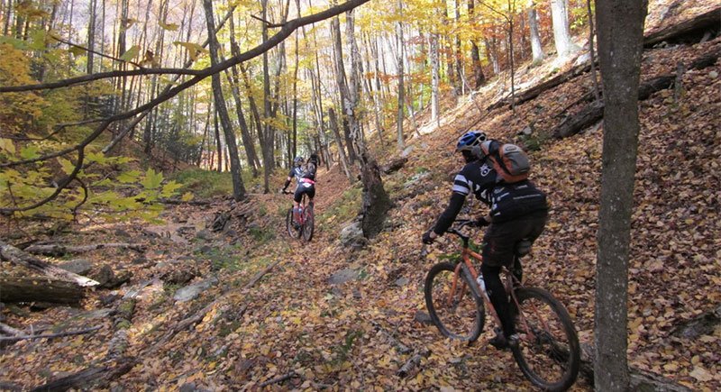 SenatorNation's tweet photo. Seneca Rocks in Pendleton County offers scenic activities such as biking, rock climbing, fishing, and hang gliding! #SenatorNation #WhyWV https://t.co/HgN6bw6hms