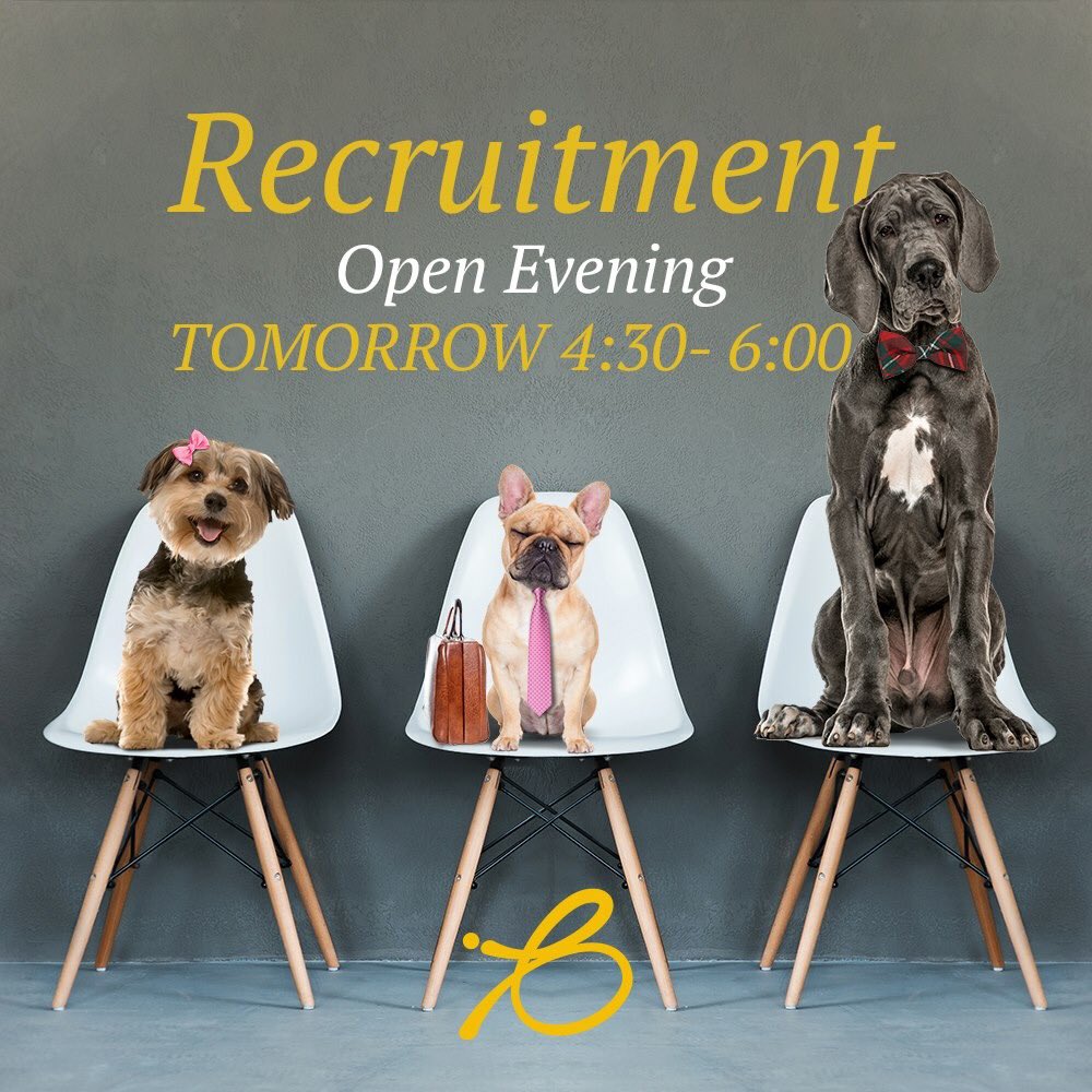 BBDcreative's tweet photo. We’re looking forward to meeting all our new potential Chief Biscuit Taster / Cuddle Givers tomorrow at our recruitment open evening. Come along with your owner to our studio between 4.30 &amp; 6pm to meet the team. We’ll have lots of treats for both owners &amp; pooches! Good luck! 🐶🍀 https://t.co/D8gYXu35Oc