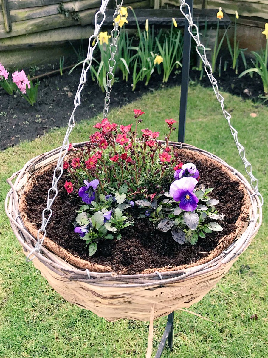 MGGardens's tweet photo. Get your spring hanging baskets,£20 &amp; free delivery. Hand planted to order. Supplying Southport and Ormskirk and surrounding areas. Contact magic-baskets@hotmail.com to order now!! https://t.co/qpovly8zjy