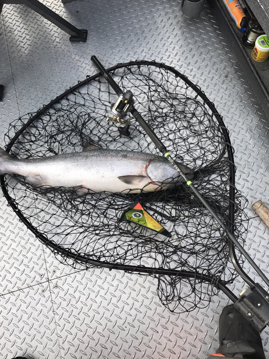 GuideOregon's tweet image. Open seats Friday Spring Chinook Columbia River northoregonfishing.com/open-seats-fri…