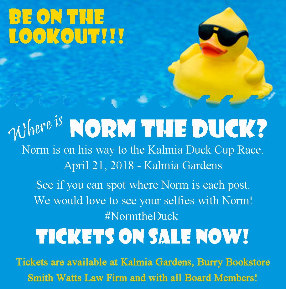 racing rubber ducks for sale