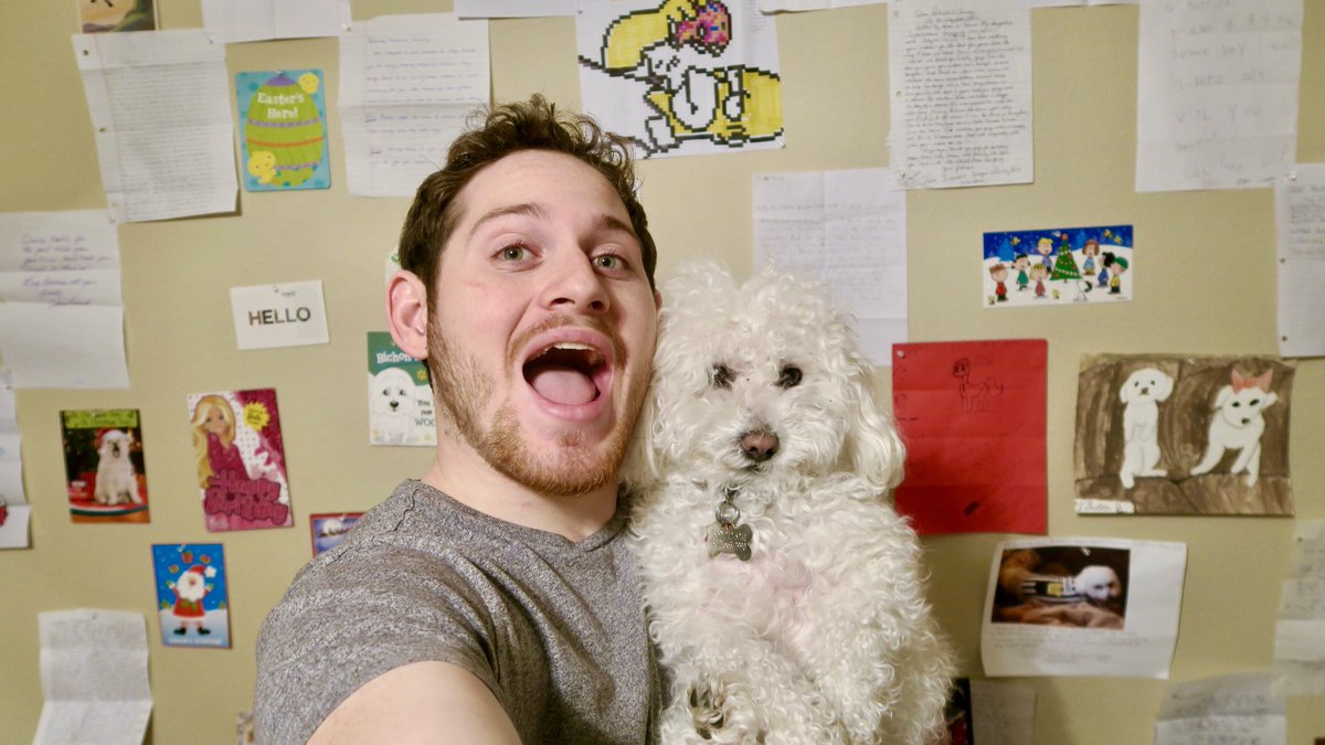 MarkHamill's tweet photo. Who's In Charge Here? Can't stop watching videos of Patrick Barnes @peebasaur trying his best to reason with his short-tempered dog: the magnificently intolerant QUINCY. Easy boy...!!! 🐶🤣 #HOWLarious https://t.co/5kUdpexH06 https://t.co/48LhTpNbpq