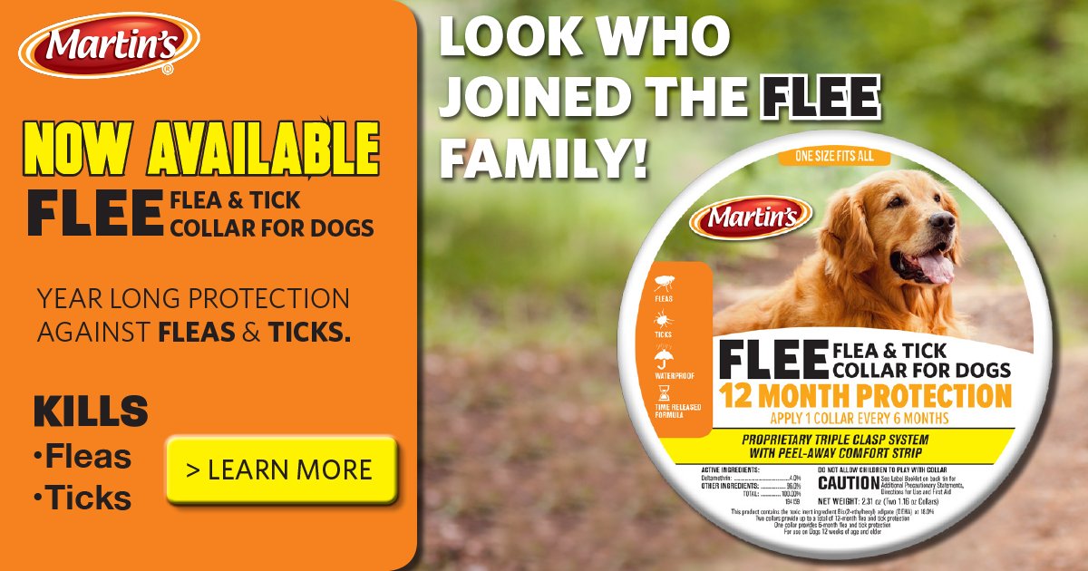 MartinsBrand's tweet photo. NOW AVAILABLE! FLEE Flea &amp; Tick Collar for Dogs. Look Who Joined the FLEE® Family! #fleacollar #fleaprotection #newproducts @martinsbrand
LEARN MORE > https://t.co/iokCNZEG8y https://t.co/MSmwnFPEmC