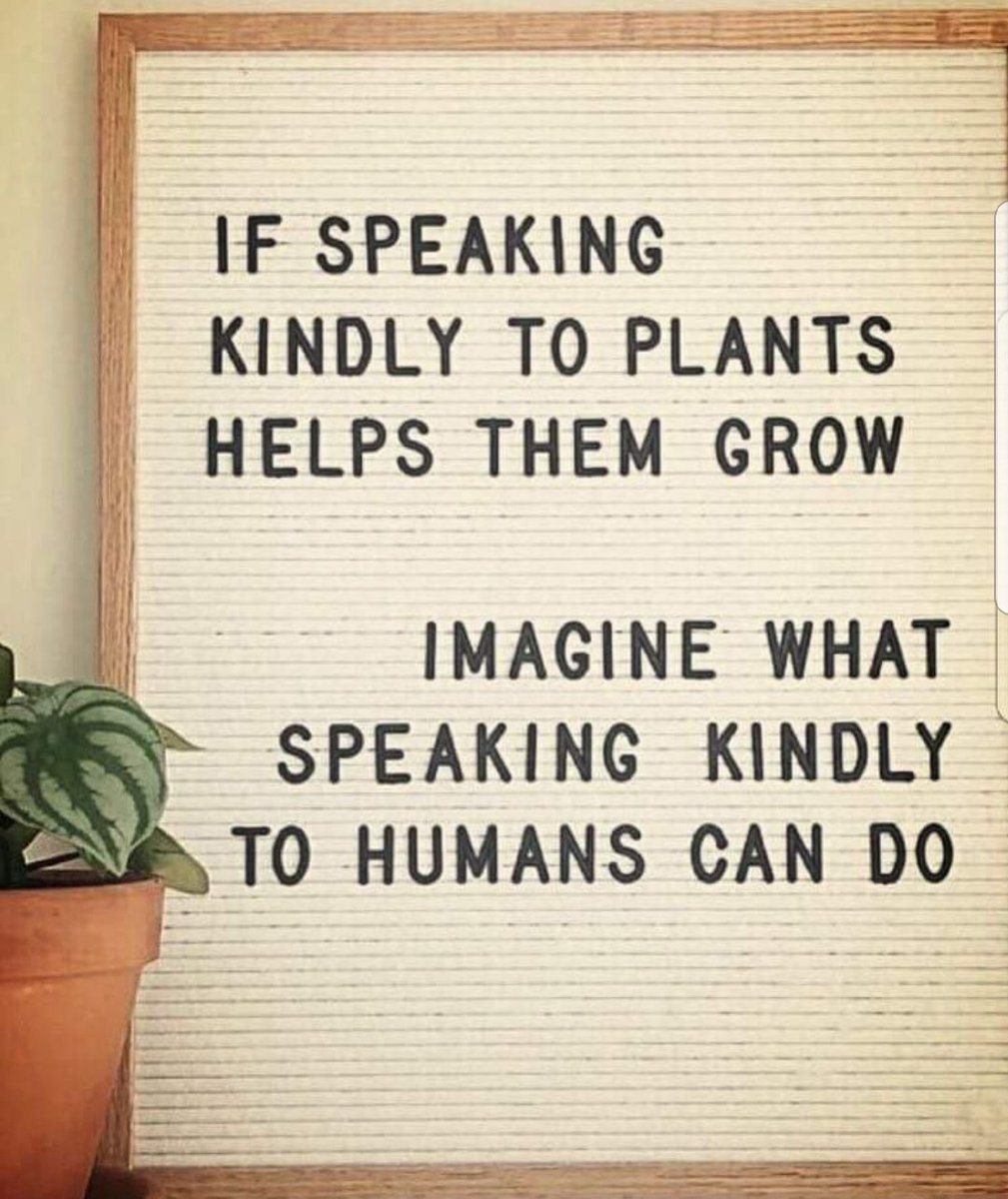 Amanda_Norwood_'s tweet photo. Social skills 101 #ABawesome #RobisonSpirit #CatchTheSpirit @RobisonES https://t.co/GSxe65KSuV