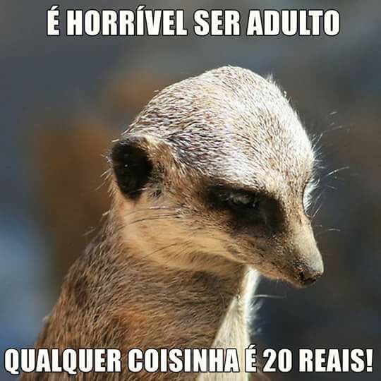 EgbertoRodrigu3's tweet image. Boa tarde famíliaBeta!!! 
#BetaQuerLab 
#MissaoBeta 
#Retweet