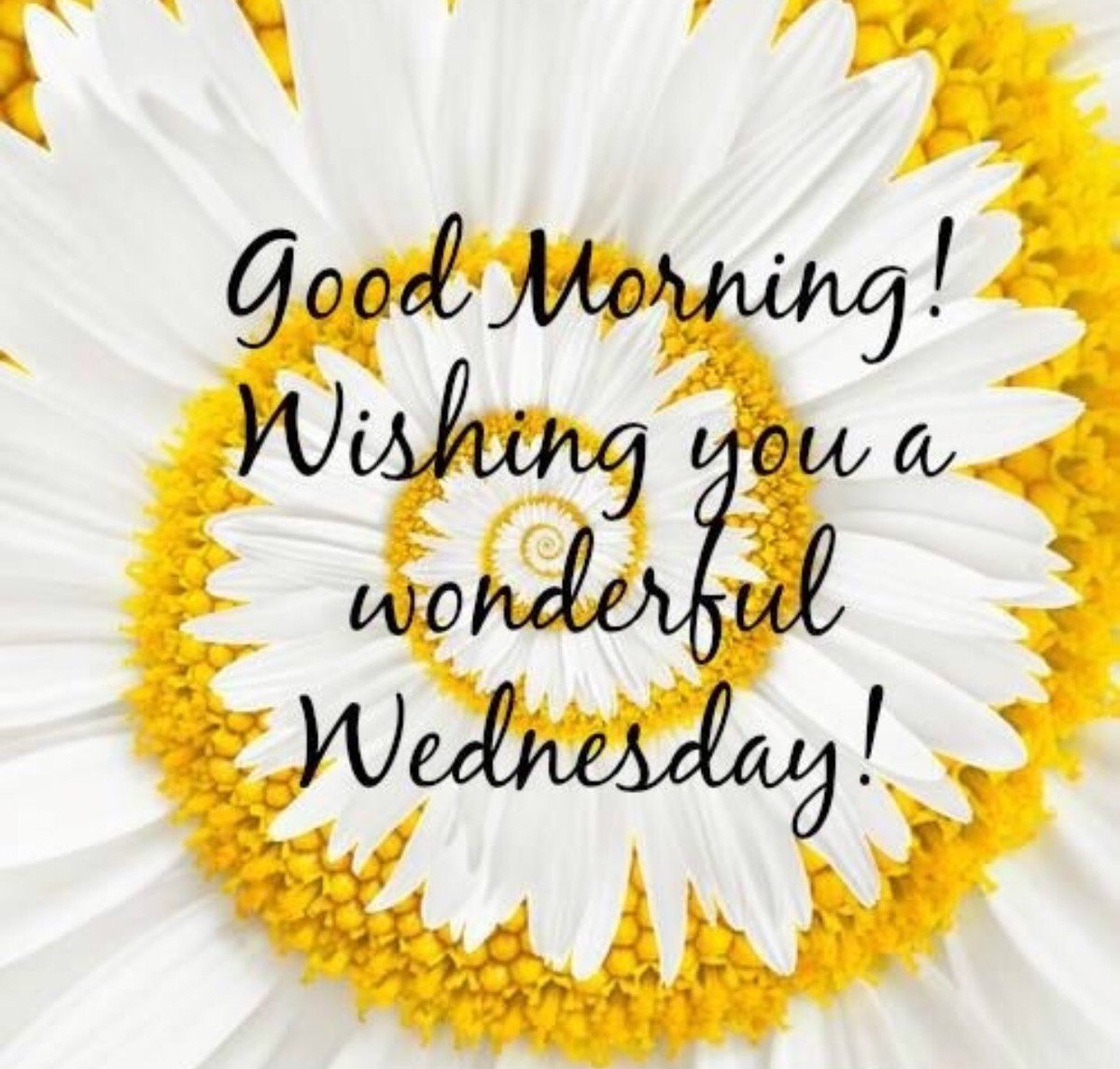 cbdwithamy's tweet photo. Have a WONDERful Wednesday! 😁 https://t.co/Kyb7o3cJtK