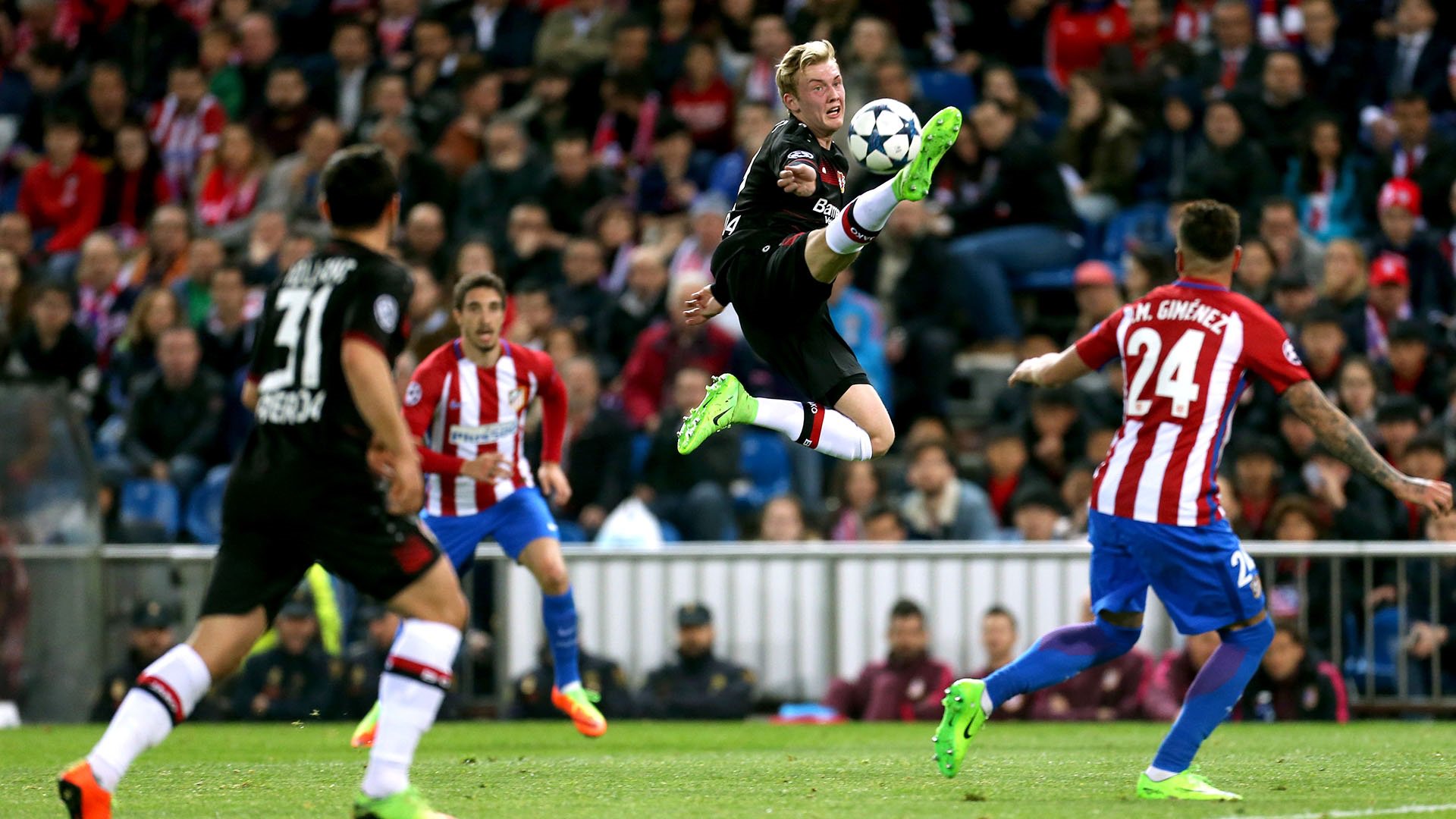 Bayer 04.De Bayer 04.De