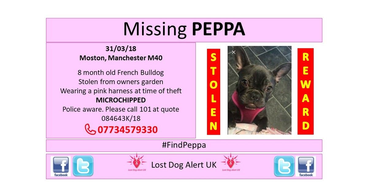 LostDogAlertUK's tweet photo. Please support
Thank you
ends 14/04/18
#FindPeppa
https://t.co/OCqHgAYyZc https://t.co/10AybhI8cS