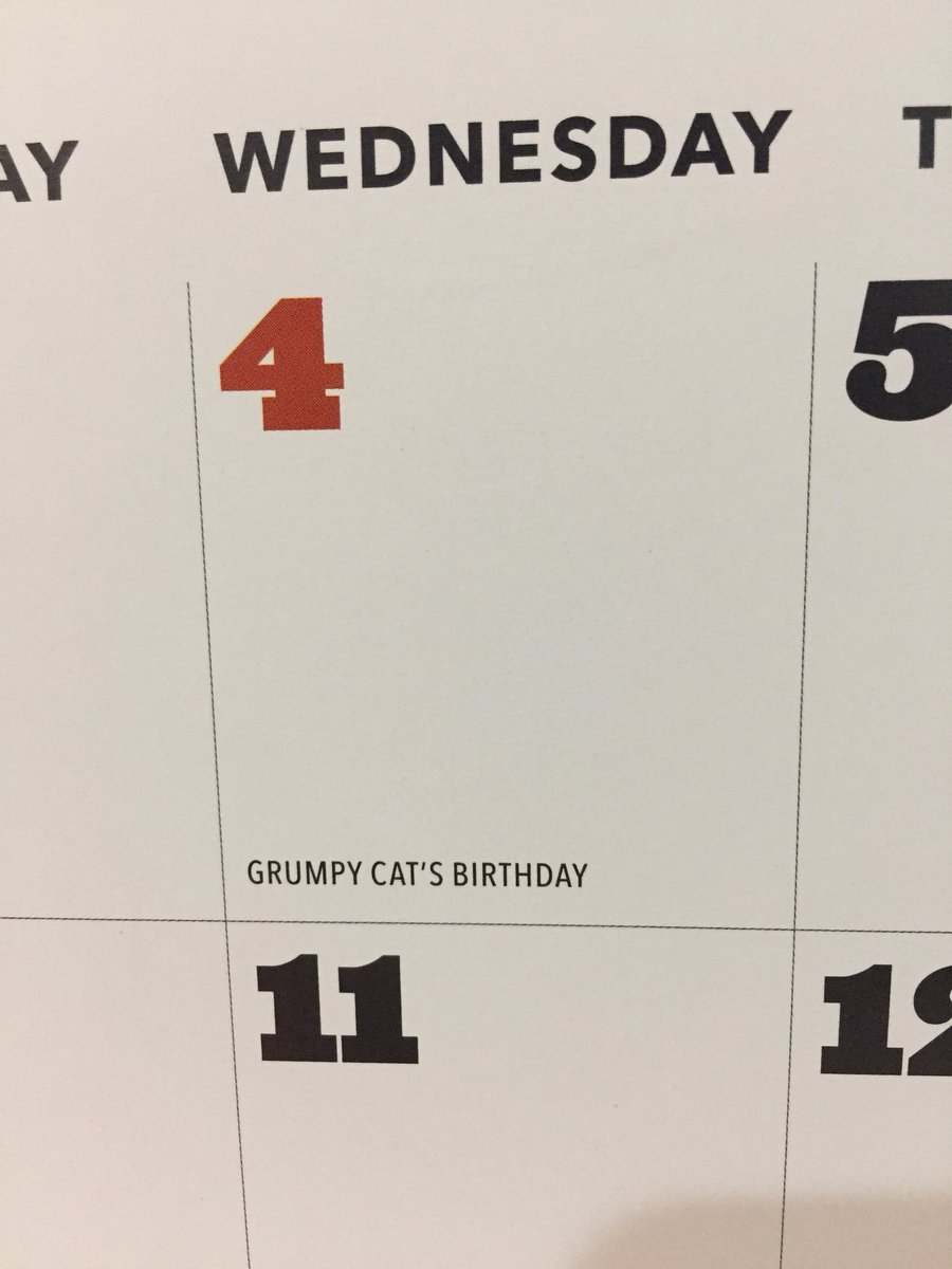 KariDaffron's tweet photo. Happy birthday, @RealGrumpyCat. I hope you donโt choke on your cake today. Or do I? #jk #loveyou #happybirthday #oneyearclosertodeath #jkagain #๐น #imnotgoodatgrumpy https://t.co/LP46WKajKZ