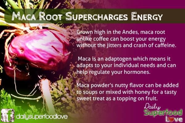 MacaPowderBenef's tweet image. #Superfoods #MacaPowderBenefits #MacaRoot
Read more: bitly.com/benefitsmaca