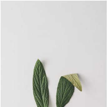 Jax Coco tweet media