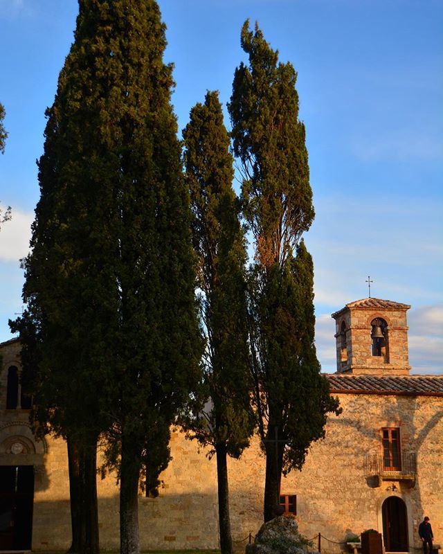 AroundSiena's tweet photo. Sunrise in Cellole, San Gimignano. #cellole #sangimignano #aroundsiena https://t.co/vbX7I6zXFU https://t.co/BD1fTGqDq2