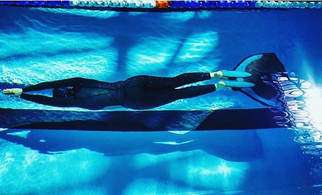 HighlandsApoth's tweet image. My fins are being hung up for the summer before heading to #dahab in the winter to start #yogainstructor training and 
#freediving my heart out. 
I'll have to settle for a swimming pool and cossie. #waterbaby
Never thought I'd say it but I can't wait for… ift.tt/2H7bLzP