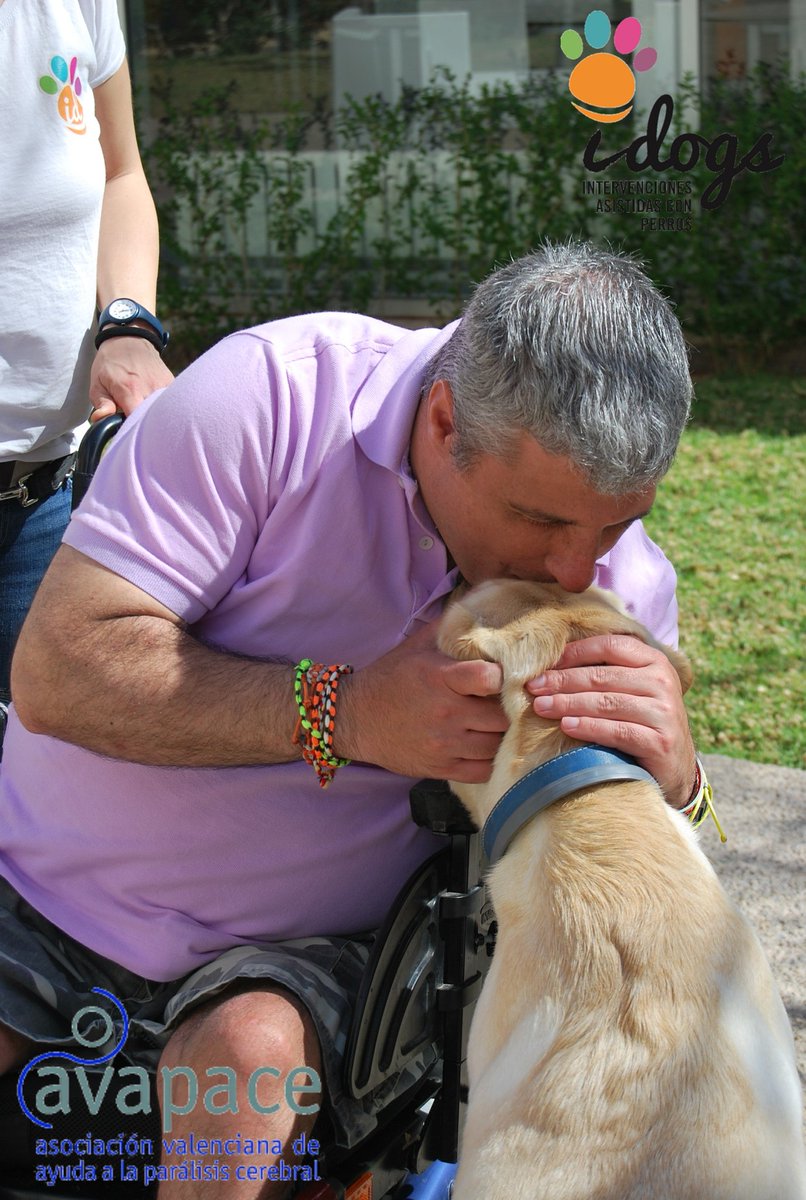 asociacionidogs's tweet photo. Como no podía ser de otra manera, #Eli ha disfrutado esta semana tanto, como los humanos lo hemos hecho con ella en @Avapace
#perrodeterapia #therapydog #sonrisasquedejanhuella #idogs #masqueamigos https://t.co/xuJf0mWrzZ
