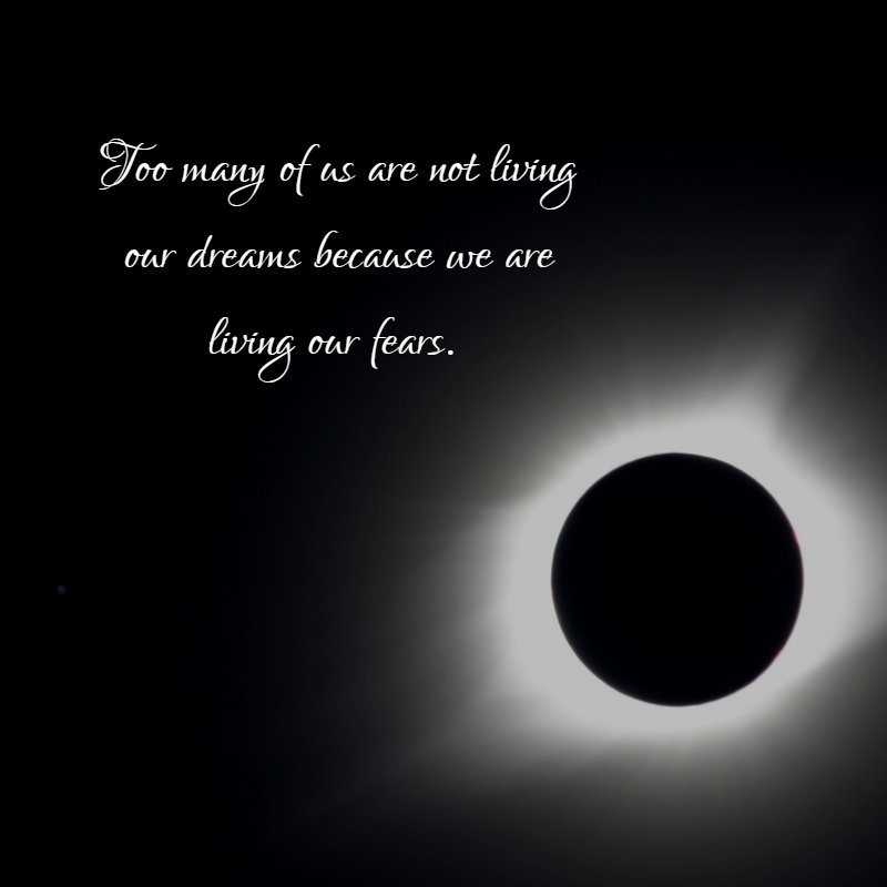 gregastew's tweet photo. Too many of us are not living our dreams because we are living our fears. 
https://t.co/QhGzY4LB1g
#Startup #Success #MakeYourOwnLane #defstar5 #mpgvip #quotes #SEO #InternetMarketing #OnlineMarketing https://t.co/Xp7kpvyn8B