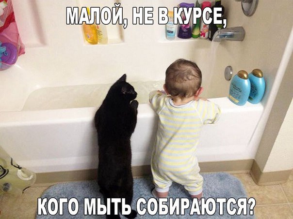 greolga's tweet photo. https://t.co/iPKrqCTQ2H