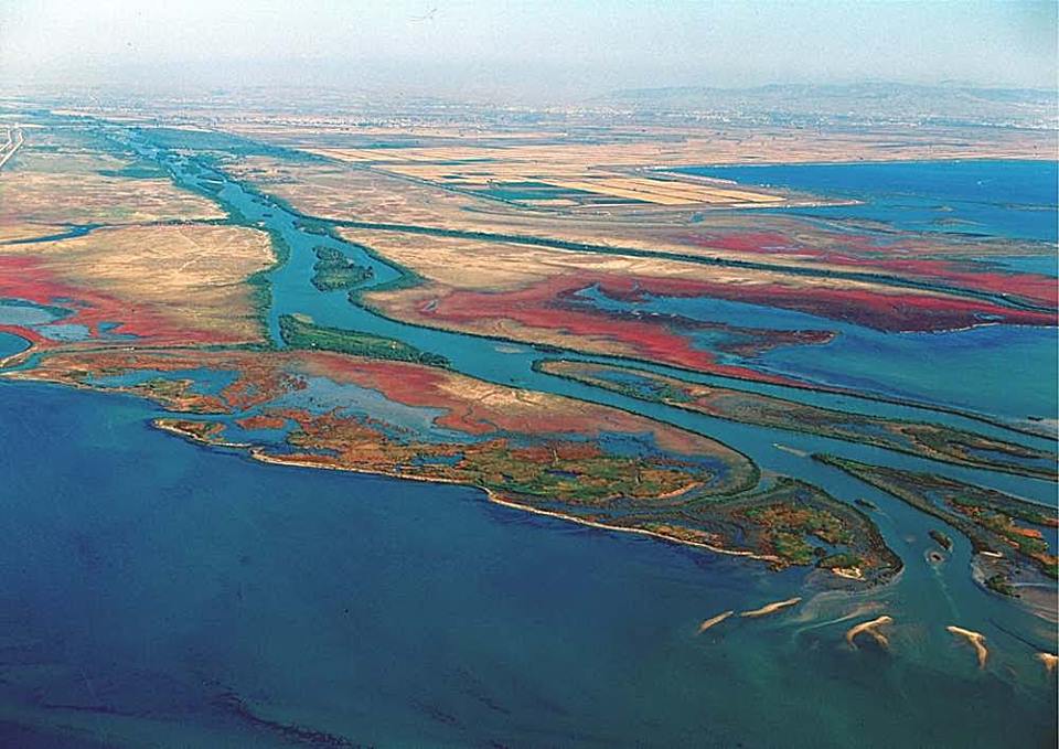 #Macedonia: The Delta of #Axios river is located almost on the outskirts of #Thessaloniki | #Travel #Nature #Photography #VeryMacedonia #Greece 🇬🇷