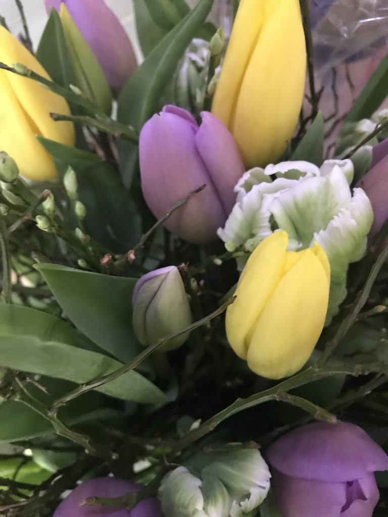 Zo tof om ook nog vet mooie bloemen te krijgen. Training gegeven aan vertrouwenspersonen van <a href="/JouwGGDnl/">JouwGGD.nl</a> in Arnhem over online grensoverschrijdend gedrag. @JeugdenMedia
